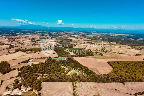 Сasa de 7 dormitorios en venta en Llagostera, Gerona, Cataluña, Spain № 6720