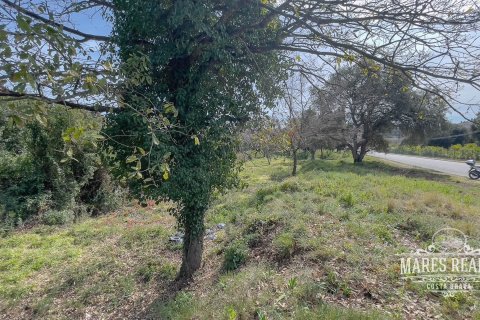 Parcela de 1551 m² en venta en Lloret de Mar, Gerona, Cataluña, Spain № 989 - foto 7