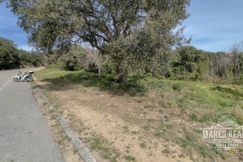 Parcela de 1551 m² en venta en Lloret de Mar, Gerona, Cataluña, Spain № 989