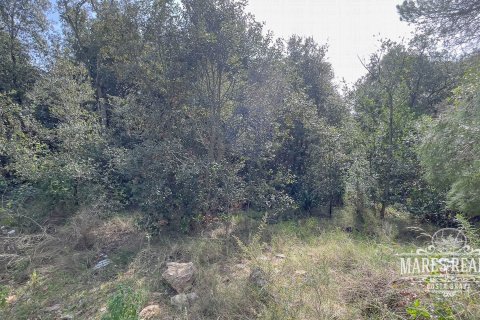 Parcela de 1450 m² en venta en Lloret de Mar, Gerona, Cataluña, Spain № 987