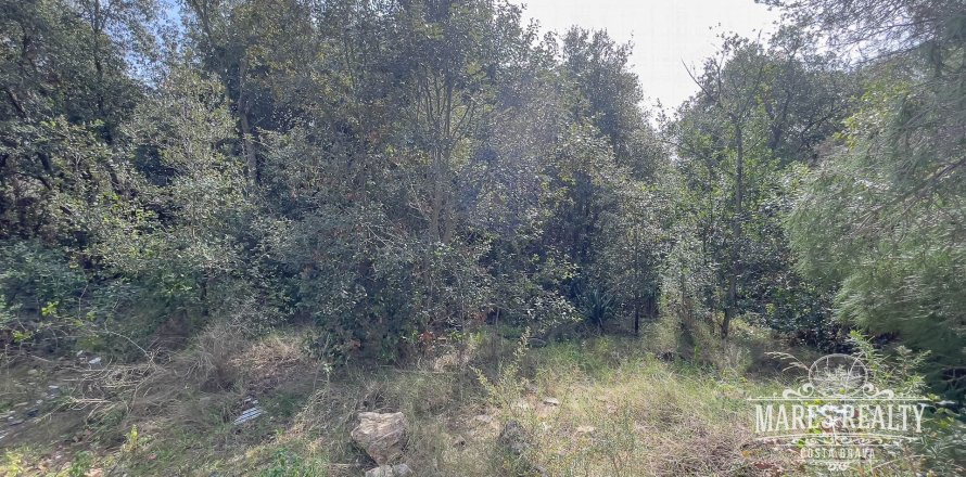 Parcela de 1450 m² en venta en Lloret de Mar, Gerona, Cataluña, Spain № 987