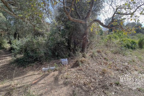 Parcela de 1450 m² en venta en Lloret de Mar, Gerona, Cataluña, Spain № 987 - foto 4
