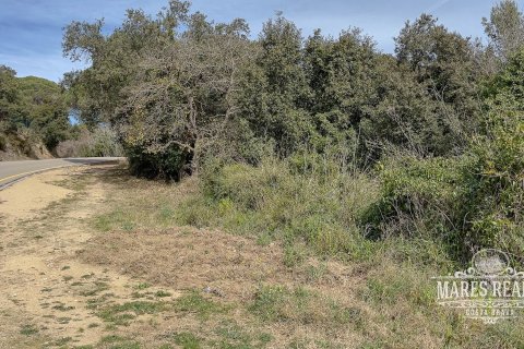 Parcela de 1450 m² en venta en Lloret de Mar, Gerona, Cataluña, Spain № 987 - foto 5