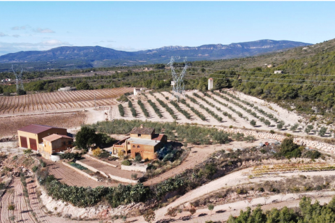 Propiedad comercial en venta en Perafort, Tarragona, Cataluña, Spain № 7450