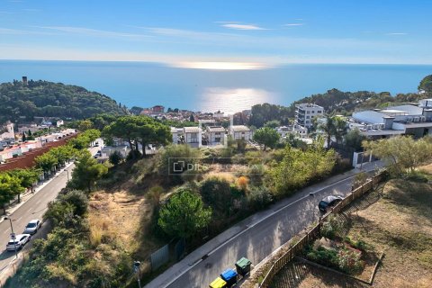 Villa de 4 dormitorios en venta en Caldes d'Estrac, Barcelona, Cataluña, Spain № 4177 - foto 24