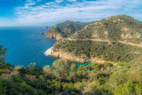 Сasa de 5 dormitorios en venta en Tossa de Mar, Gerona, Cataluña, Spain № 7086 - foto 2
