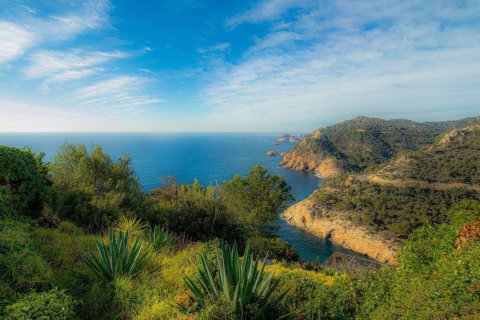 Сasa de 5 dormitorios en venta en Tossa de Mar, Gerona, Cataluña, Spain № 7086 - foto 26