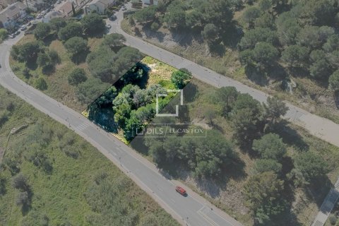Parcela en venta en Premia De Dalt, Barcelona, Cataluña, Spain № 8760 - foto 7