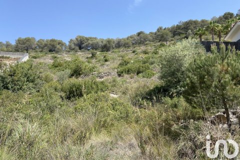 Parcela de 2450 m² en venta en Sitges, Barcelona, Cataluña, Spain № 5067 - foto 5