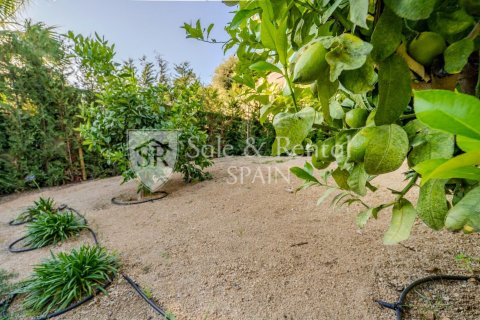 Купить дом в Льорет-де-Мар, Испания с 3 спальни, 222м², № 7149 - фото 26