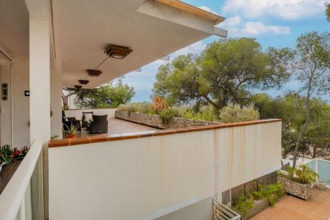 Сasa de 12 dormitorios en venta en Castelldefels, Barcelona, Cataluña, Spain № 6215 - foto 11