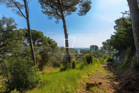 4 bedrooms villa for sale in Sant Andreu de Llavaneres, Barcelona, Catalonia, Spain № 4306 - photo 15