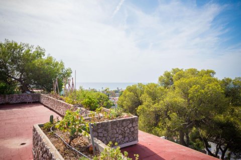 9 bedrooms house for sale in Castelldefels, Barcelona, Catalonia, Spain № 6575 - photo 25
