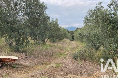 Сasa de 5 dormitorios en venta en Sentmenat, Barcelona, Cataluña, Spain № 4691 - foto 20