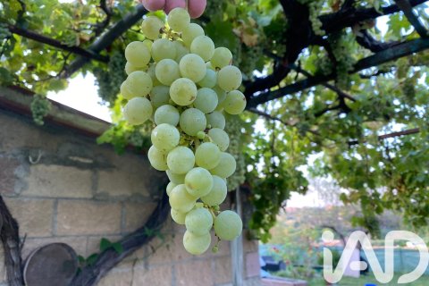 Сasa de 5 dormitorios en venta en Sentmenat, Barcelona, Cataluña, Spain № 4691 - foto 21