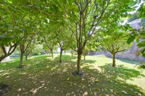 Villa de 6 dormitorios en venta en Sant Andreu de Llavaneres, Barcelona, Cataluña, Spain № 1270 - foto 4