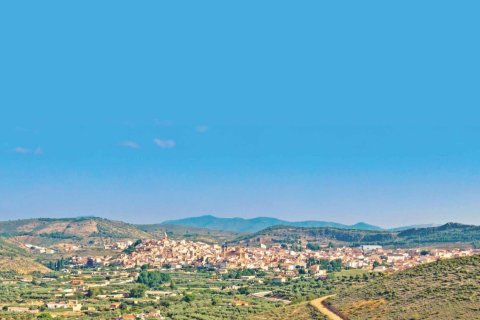 Propiedad comercial de 17 dormitorios en venta en Barcelona, Cataluña, Spain № 1274 - foto 14