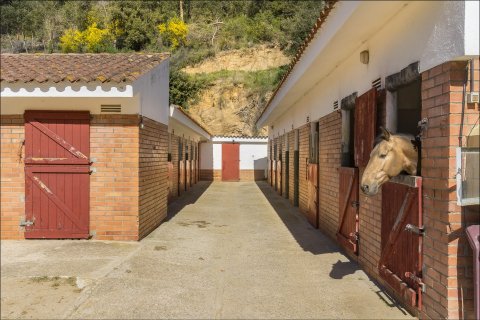 5 bedrooms house for sale in Sant Andreu de Llavaneres, Barcelona, Catalonia, Spain № 1762 - photo 8