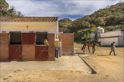5 bedrooms house for sale in Sant Andreu de Llavaneres, Barcelona, Catalonia, Spain № 1762 - photo 11