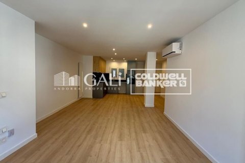 Apartamento de 3 dormitorios en alquiler en Principado De Andorra (Ninguna Poblacion Tiene C.P.), Lérida, Cataluña, Spain № 8007 - foto 7