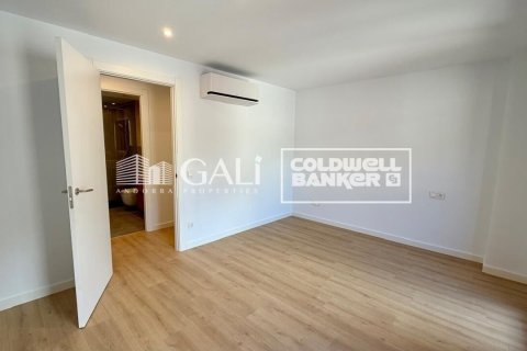 Apartamento de 3 dormitorios en alquiler en Principado De Andorra (Ninguna Poblacion Tiene C.P.), Lérida, Cataluña, Spain № 8007 - foto 10