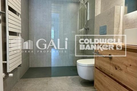 Apartamento de 3 dormitorios en alquiler en Principado De Andorra (Ninguna Poblacion Tiene C.P.), Lérida, Cataluña, Spain № 8007 - foto 19