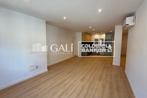 Apartamento de 3 dormitorios en alquiler en Principado De Andorra (Ninguna Poblacion Tiene C.P.), Lérida, Cataluña, Spain № 8007 - foto 2