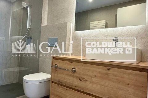 Apartamento de 3 dormitorios en alquiler en Principado De Andorra (Ninguna Poblacion Tiene C.P.), Lérida, Cataluña, Spain № 8007 - foto 18