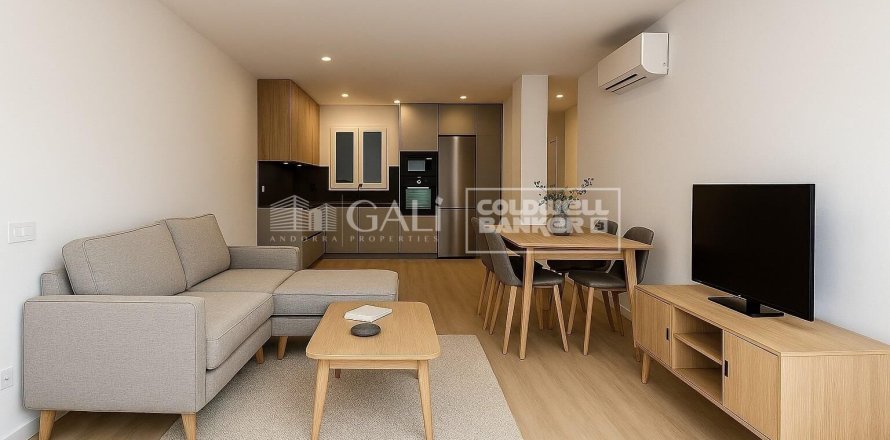 Apartamento de 3 dormitorios en alquiler en Principado De Andorra (Ninguna Poblacion Tiene C.P.), Lérida, Cataluña, Spain № 8007