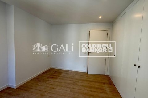 Apartamento de 3 dormitorios en alquiler en Principado De Andorra (Ninguna Poblacion Tiene C.P.), Lérida, Cataluña, Spain № 8007 - foto 14