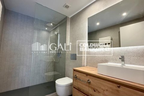 Apartamento de 3 dormitorios en alquiler en Principado De Andorra (Ninguna Poblacion Tiene C.P.), Lérida, Cataluña, Spain № 8007 - foto 17