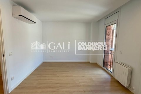 Apartamento de 3 dormitorios en alquiler en Principado De Andorra (Ninguna Poblacion Tiene C.P.), Lérida, Cataluña, Spain № 8007 - foto 11