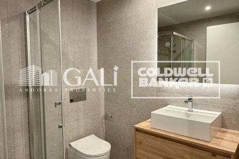 Apartamento de 3 dormitorios en alquiler en Principado De Andorra (Ninguna Poblacion Tiene C.P.), Lérida, Cataluña, Spain № 8007 - foto 22