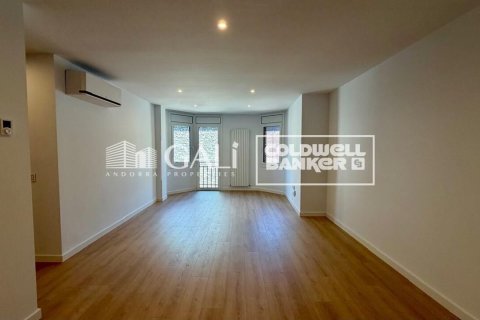 Apartamento de 3 dormitorios en alquiler en Principado De Andorra (Ninguna Poblacion Tiene C.P.), Lérida, Cataluña, Spain № 8007 - foto 5