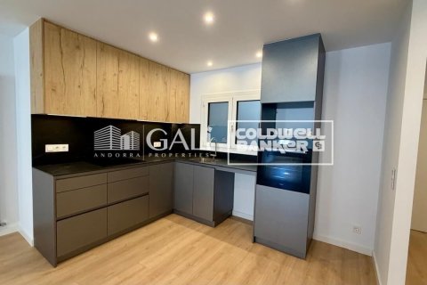Apartamento de 3 dormitorios en alquiler en Principado De Andorra (Ninguna Poblacion Tiene C.P.), Lérida, Cataluña, Spain № 8007 - foto 3