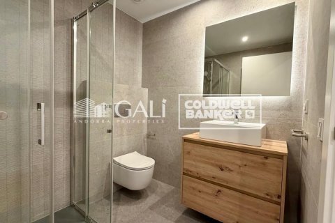 Apartamento de 3 dormitorios en alquiler en Principado De Andorra (Ninguna Poblacion Tiene C.P.), Lérida, Cataluña, Spain № 8007 - foto 21