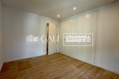 Apartamento de 3 dormitorios en alquiler en Principado De Andorra (Ninguna Poblacion Tiene C.P.), Lérida, Cataluña, Spain № 8007 - foto 15