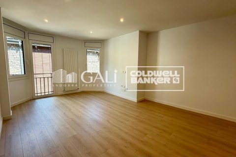 Apartamento de 3 dormitorios en alquiler en Principado De Andorra (Ninguna Poblacion Tiene C.P.), Lérida, Cataluña, Spain № 8007 - foto 6