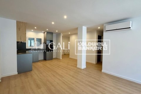 Apartamento de 3 dormitorios en alquiler en Principado De Andorra (Ninguna Poblacion Tiene C.P.), Lérida, Cataluña, Spain № 8007 - foto 4