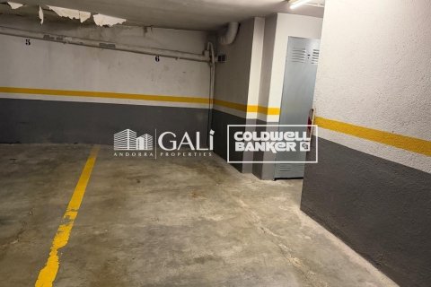 Apartamento de 3 dormitorios en alquiler en Principado De Andorra (Ninguna Poblacion Tiene C.P.), Lérida, Cataluña, Spain № 8007 - foto 24
