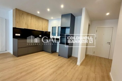 Apartamento de 3 dormitorios en alquiler en Principado De Andorra (Ninguna Poblacion Tiene C.P.), Lérida, Cataluña, Spain № 8007 - foto 8