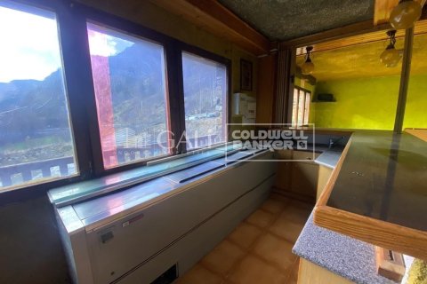 Propiedad comercial de 170 m² en alquiler en Principado De Andorra (Ninguna Poblacion Tiene C.P.), Lérida, Cataluña, Spain № 8009 - foto 20