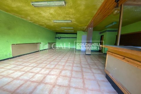 Propiedad comercial de 170 m² en alquiler en Principado De Andorra (Ninguna Poblacion Tiene C.P.), Lérida, Cataluña, Spain № 8009 - foto 16