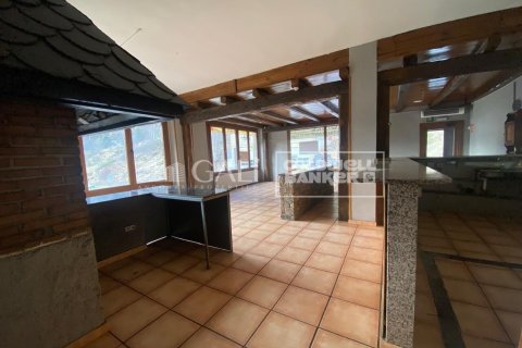 Propiedad comercial de 170 m² en alquiler en Principado De Andorra (Ninguna Poblacion Tiene C.P.), Lérida, Cataluña, Spain № 8009 - foto 5