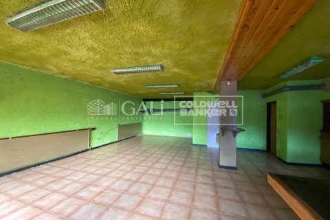 Propiedad comercial de 170 m² en alquiler en Principado De Andorra (Ninguna Poblacion Tiene C.P.), Lérida, Cataluña, Spain № 8009 - foto 19