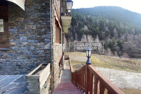 Propiedad comercial de 170 m² en alquiler en Principado De Andorra (Ninguna Poblacion Tiene C.P.), Lérida, Cataluña, Spain № 8009 - foto 14