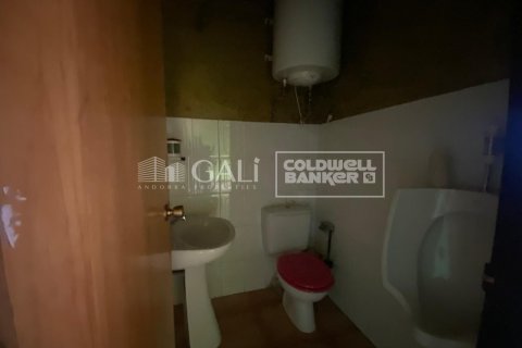 Propiedad comercial de 170 m² en alquiler en Principado De Andorra (Ninguna Poblacion Tiene C.P.), Lérida, Cataluña, Spain № 8009 - foto 22