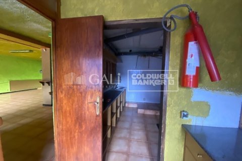 Propiedad comercial de 170 m² en alquiler en Principado De Andorra (Ninguna Poblacion Tiene C.P.), Lérida, Cataluña, Spain № 8009 - foto 18
