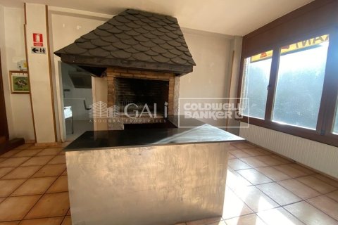 Propiedad comercial de 170 m² en alquiler en Principado De Andorra (Ninguna Poblacion Tiene C.P.), Lérida, Cataluña, Spain № 8009 - foto 3