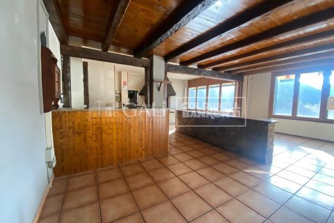 Propiedad comercial de 170 m² en alquiler en Principado De Andorra (Ninguna Poblacion Tiene C.P.), Lérida, Cataluña, Spain № 8009